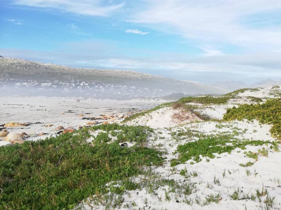 Serene Hide-away With Ocean Views Holiday home Cape Town